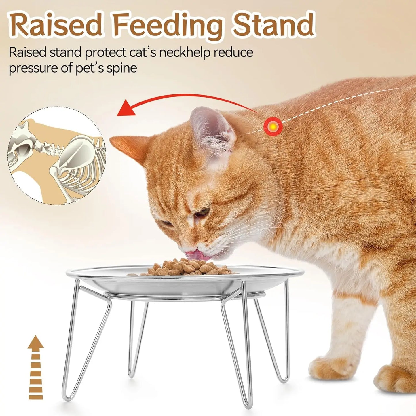 Stainless Steel Elevated Cat Bowls with Stand - Shallow Design for Whisker Fatigue