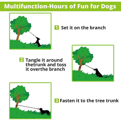Dog Bungee Tug Toy