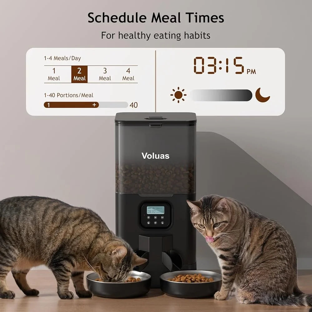 Automatic Feeder for Two Cats
