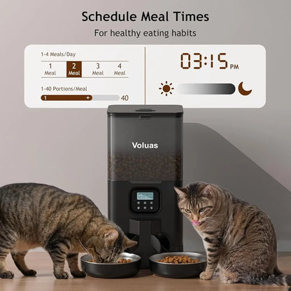 Automatic Feeder for Two Cats