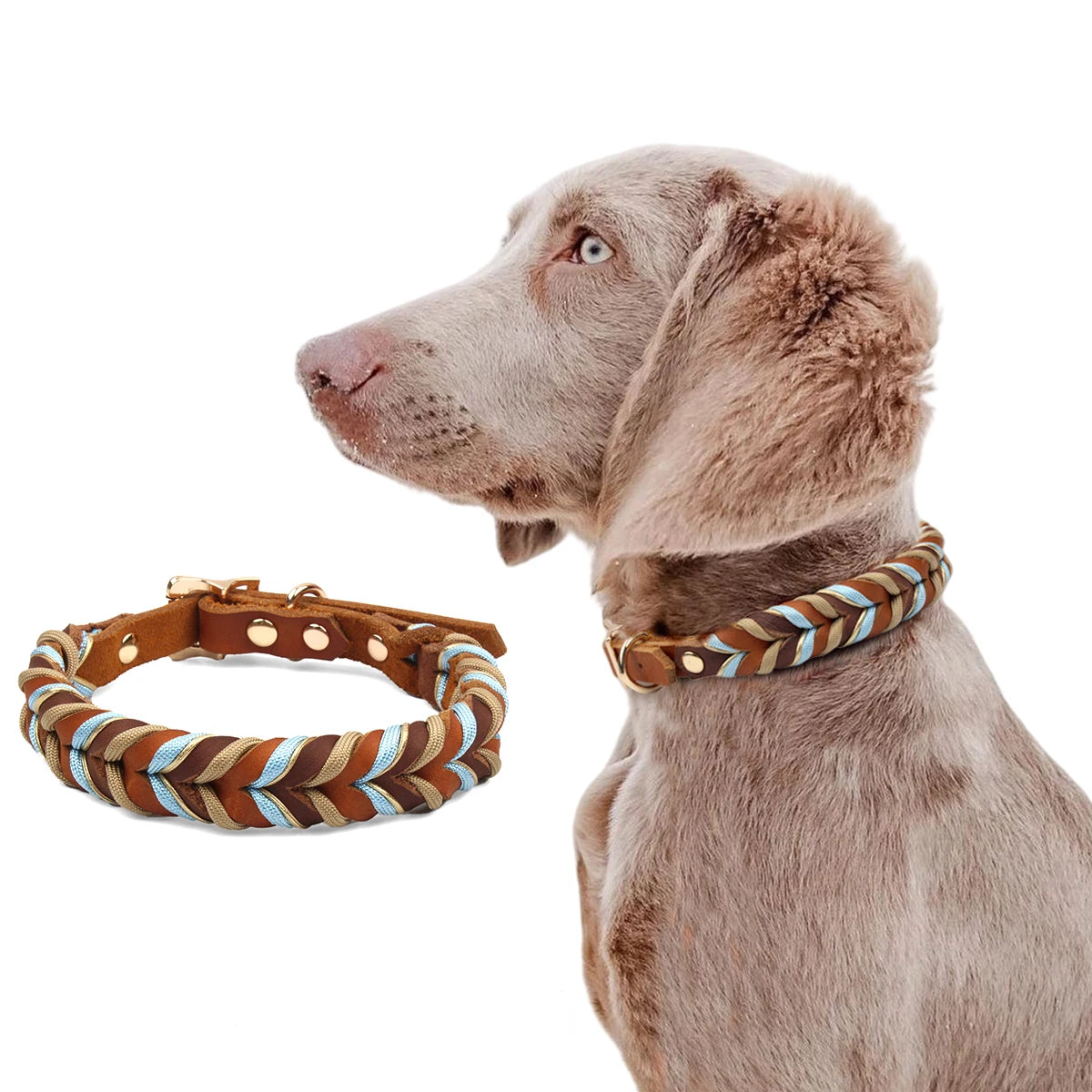 Braided Sky Blue Nylon Rope/Leather Pattern Collar