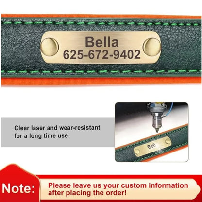 Personalized Leather Custom Dog Collar