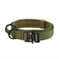Collar for Large Dog