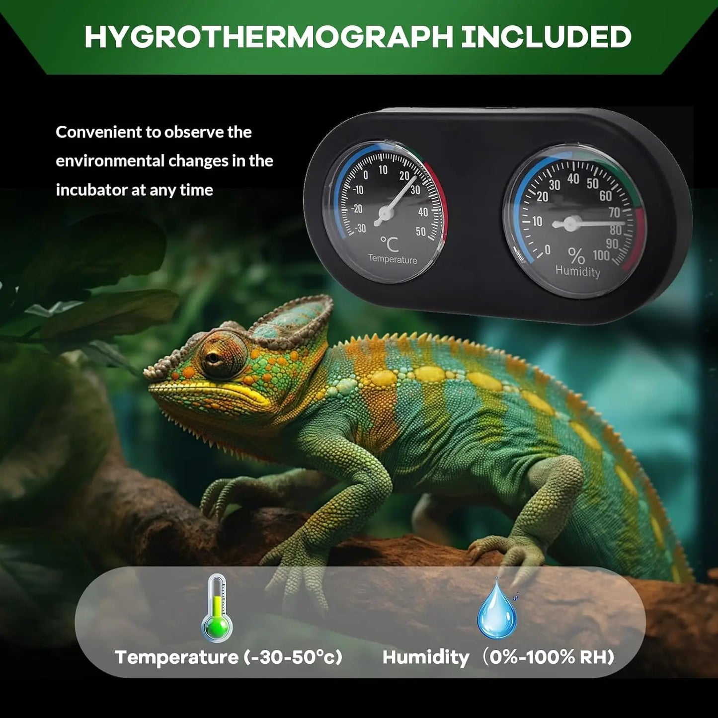 Glass Terrarium for Reptile