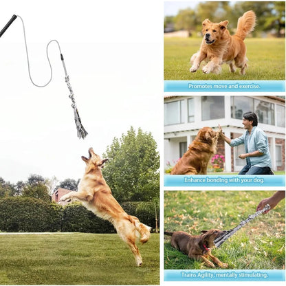 Teaser Wand for Small Medium Dogs