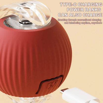 Automatic Rolling Interactive Ball Toy