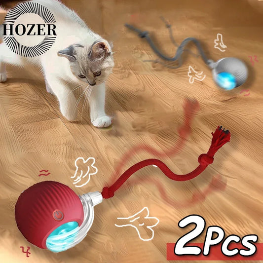 Interactive Rolling Ball Toys for Cats