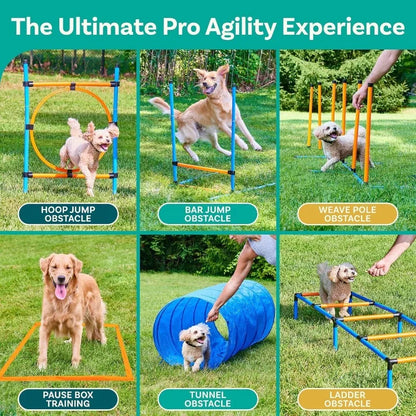 Backyard Agility Course for Dogs