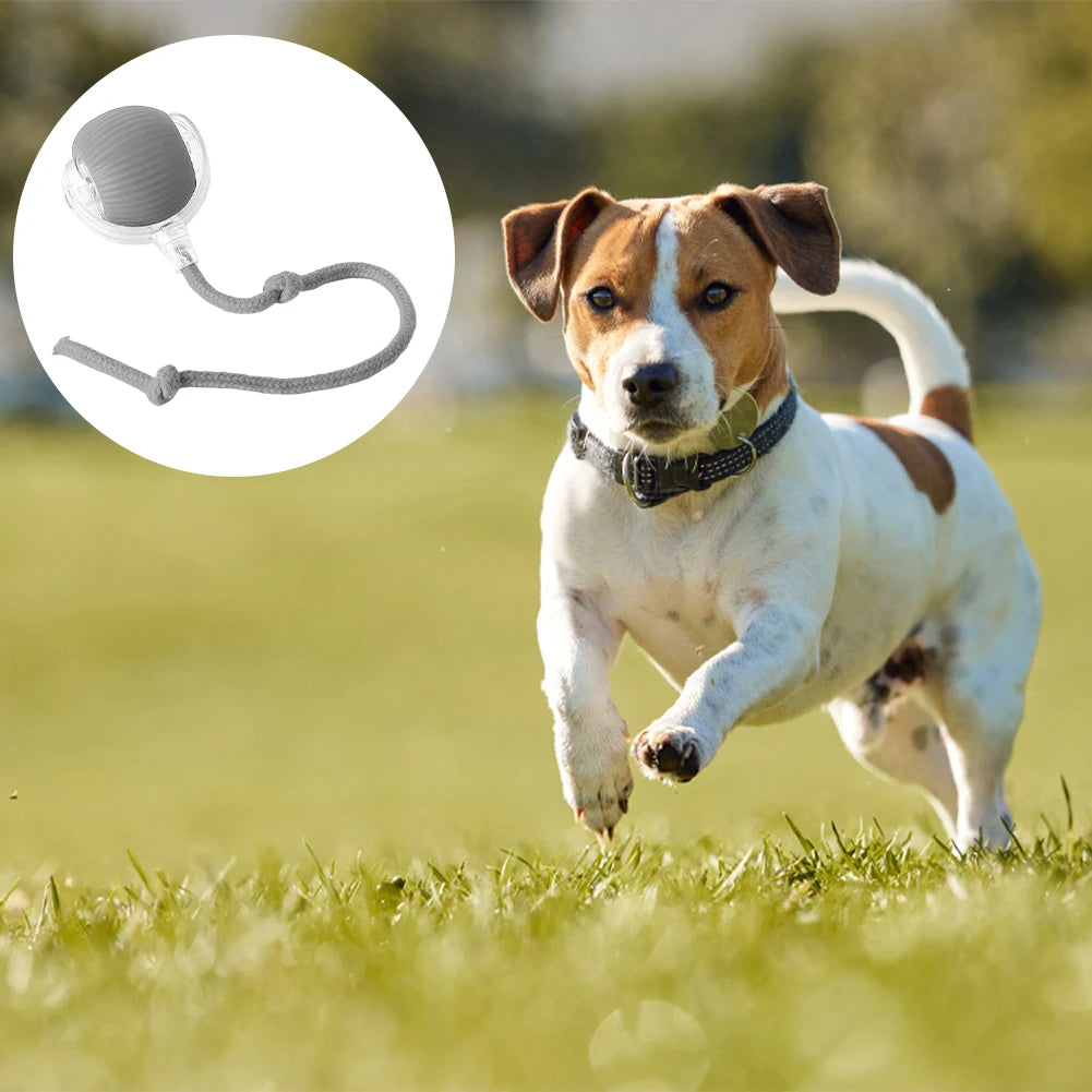 Automatic Rolling Interactive Ball Toy
