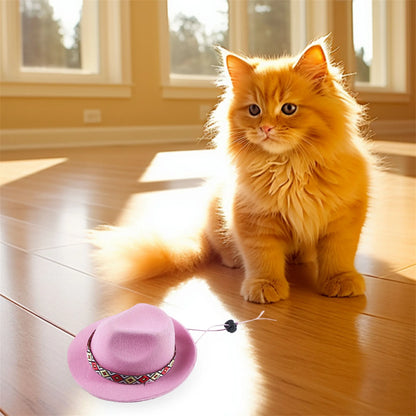Retro Pet Cowboy Hat with Bandana