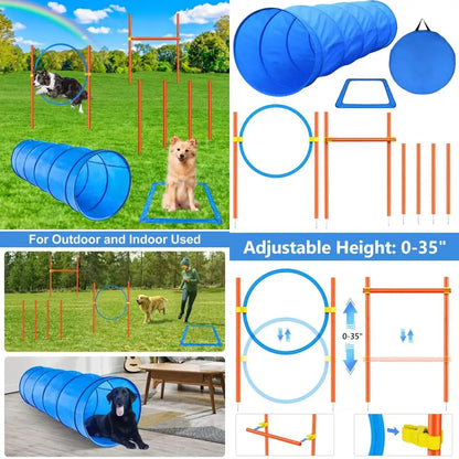 Dog Agility Course Backyard Set