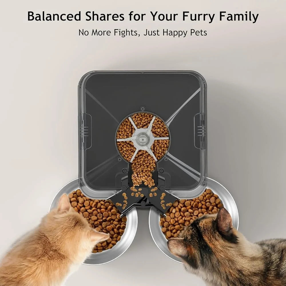Automatic Feeder for Two Cats