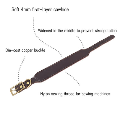 Extra Wide Tapered Dog Collar for Long Neck