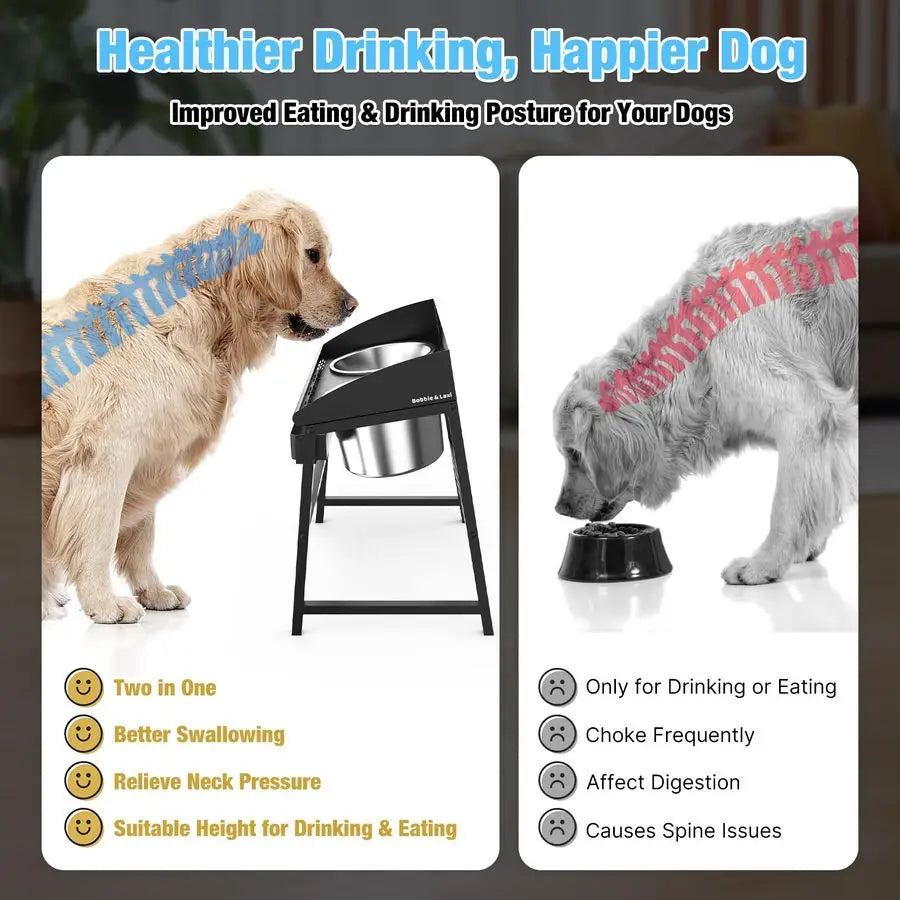 15 Degree Tilted Elevated Dog Bowls for Large Breed on Stand