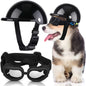 Small Dog Helmet With Goggles