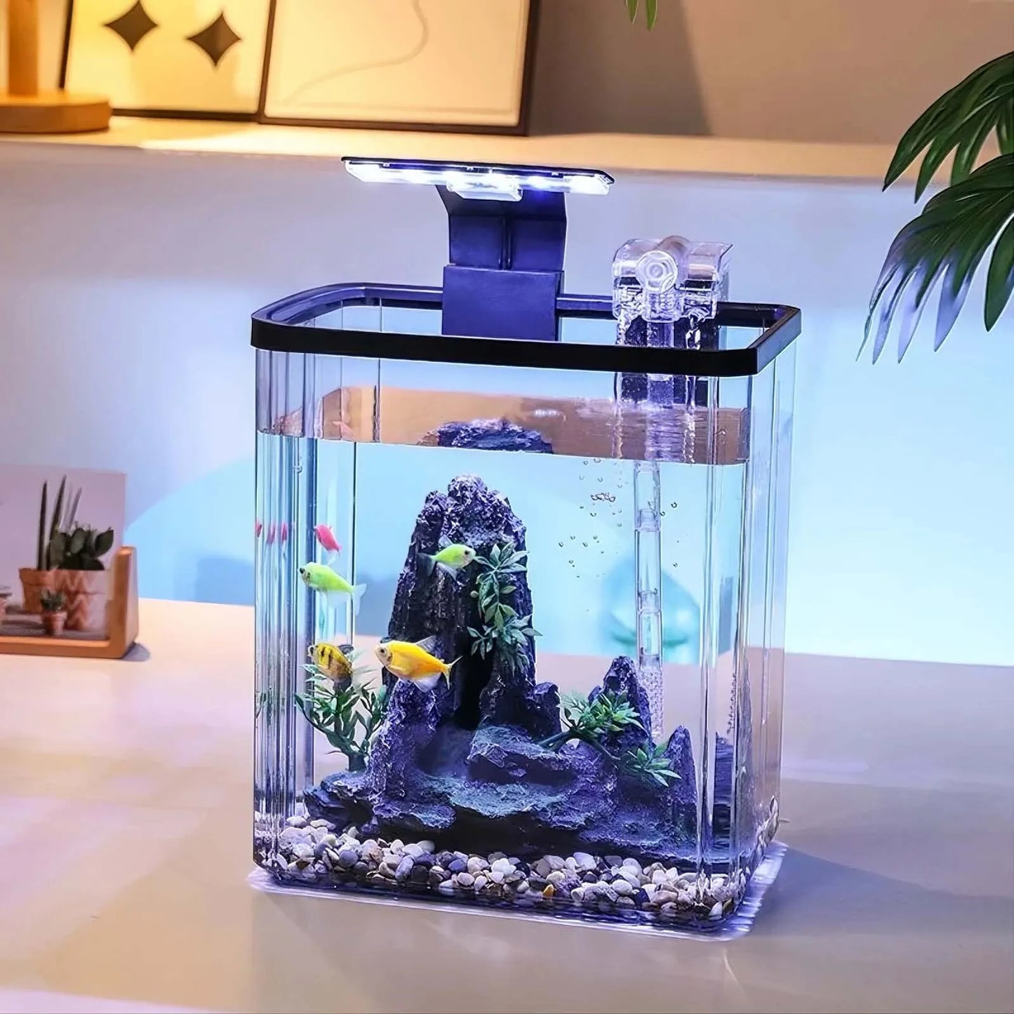 Mini Fish Tank Kit