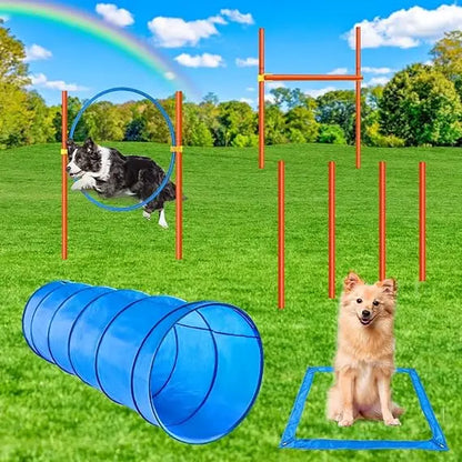 Dog Agility Course Backyard Set