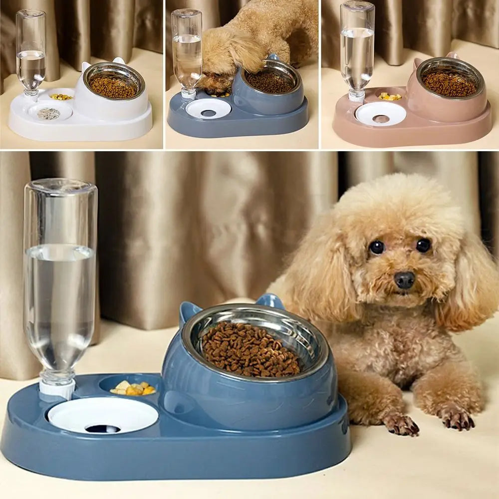 2-in-1 Automatic Cat Feeder