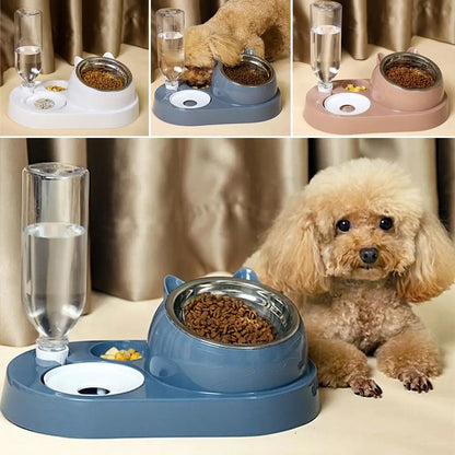 2-in-1 Automatic Cat Feeder