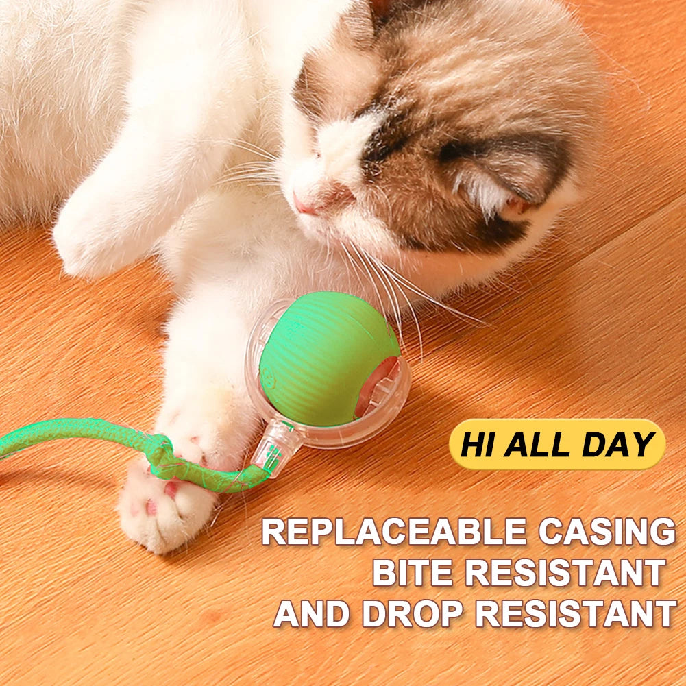 Automatic Rolling Interactive Ball Toy