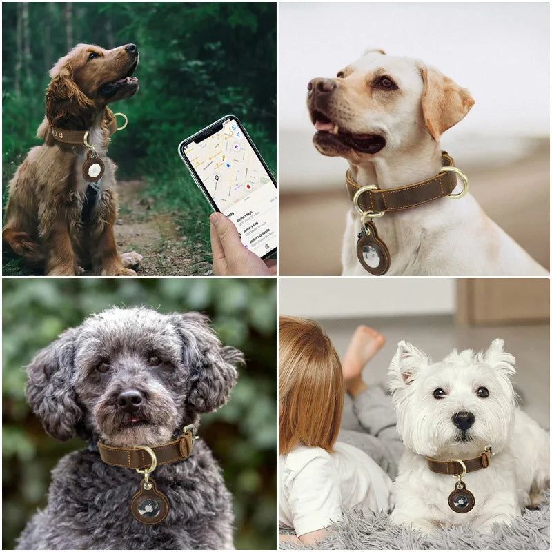Luxury Genuine Leather "Crazy Horse" Dog Collar with Air-Tag