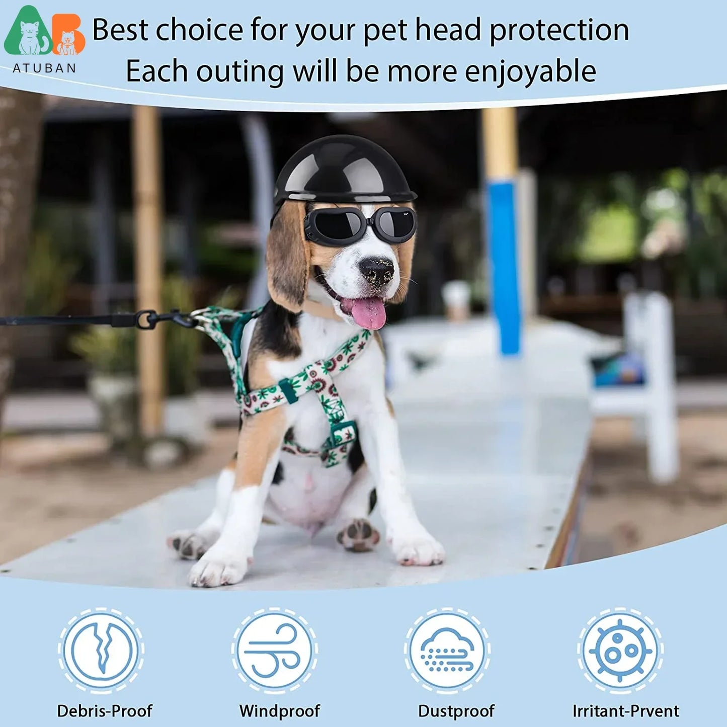 Small Dog Helmet With Goggles