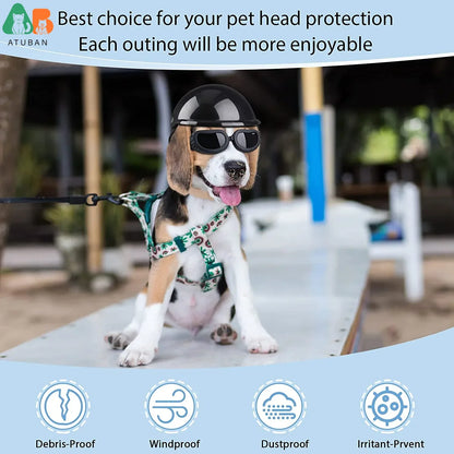 Small Dog Helmet With Goggles