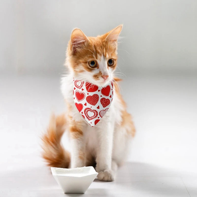 1PC Dog Bandana