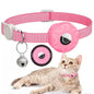 Apple Air-Tag Cat Collar