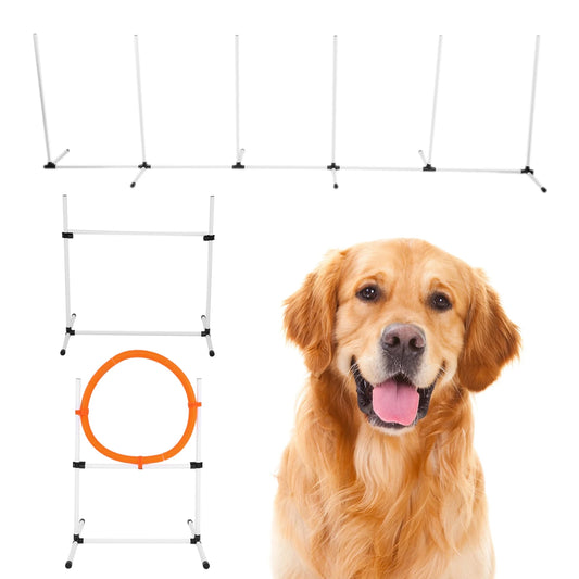 Obstacle Course for Dog
