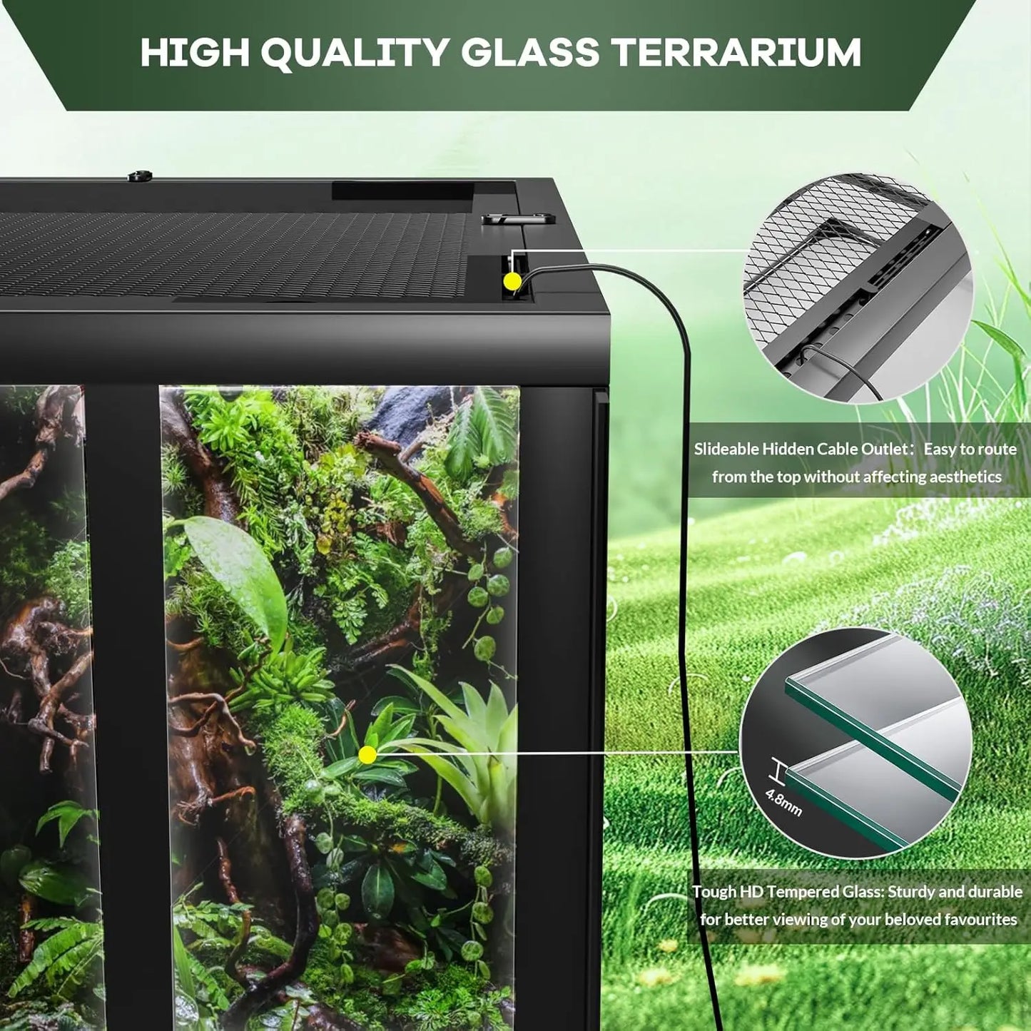 Glass Terrarium for Reptile