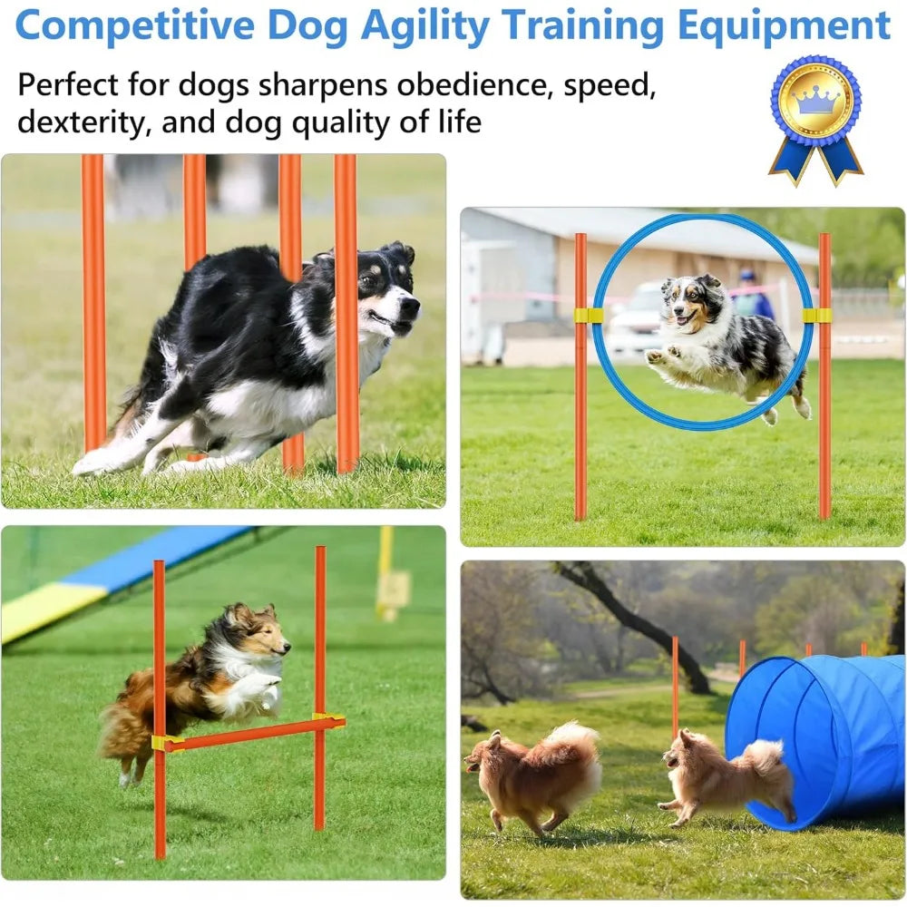 Dog Agility Course Backyard Set