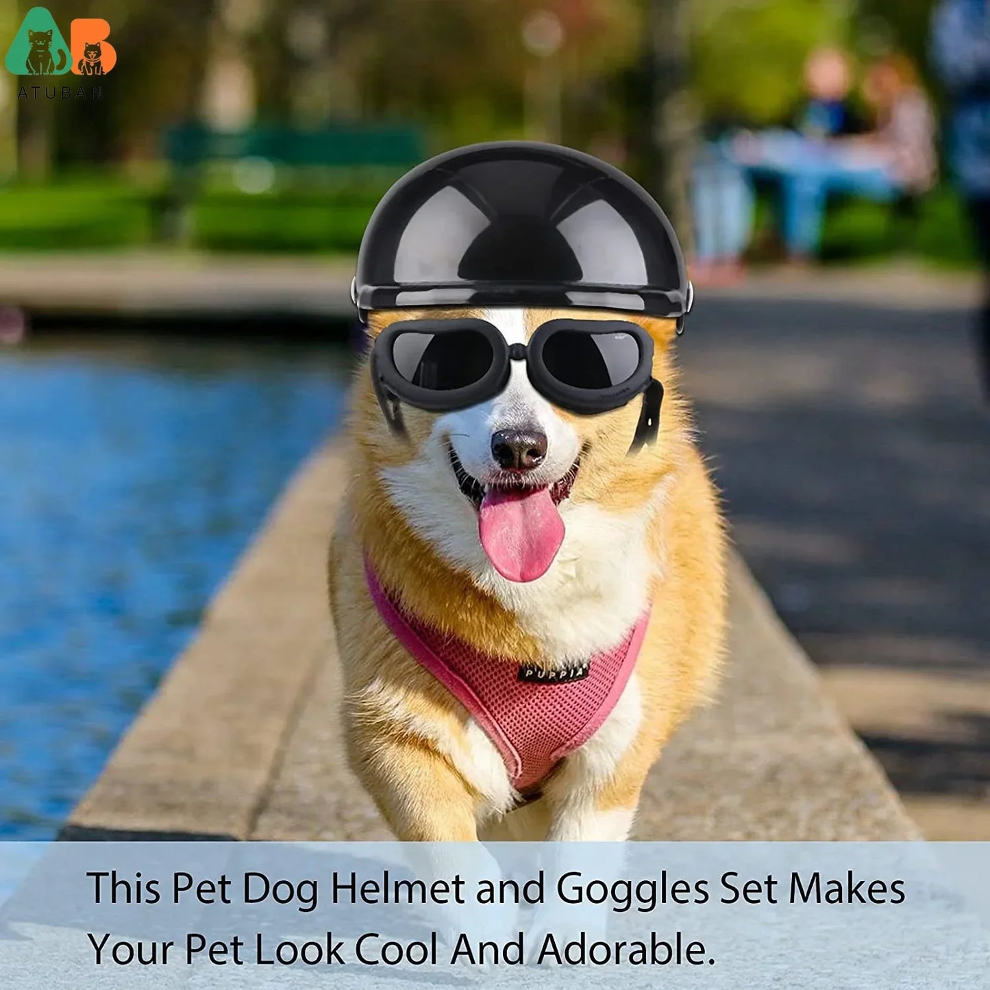 Small Dog Helmet With Goggles