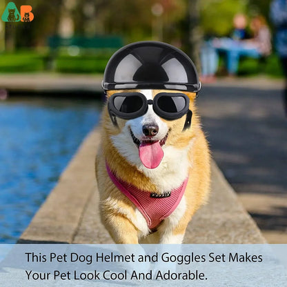 Small Dog Helmet With Goggles