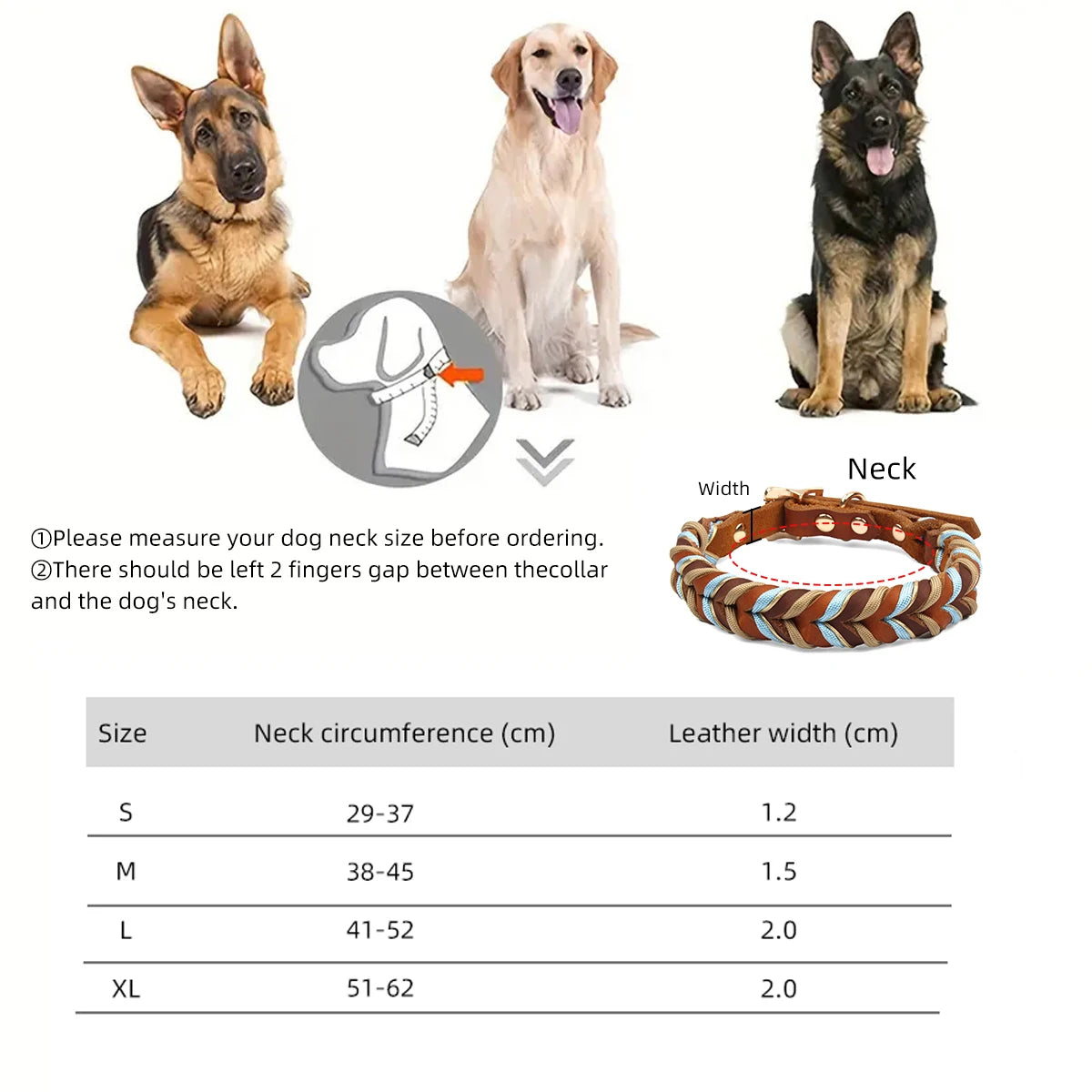 Braided Sky Blue Nylon Rope/Leather Pattern Collar