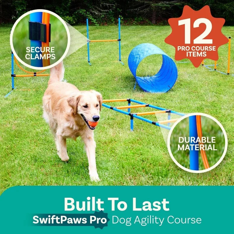 Backyard Agility Course for Dogs