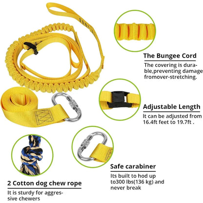 Dog Bungee Tug Toy