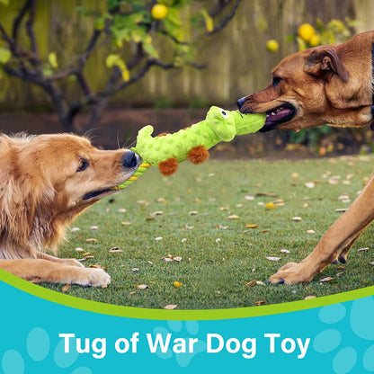 Alligator Tug of War Toys for Dogs