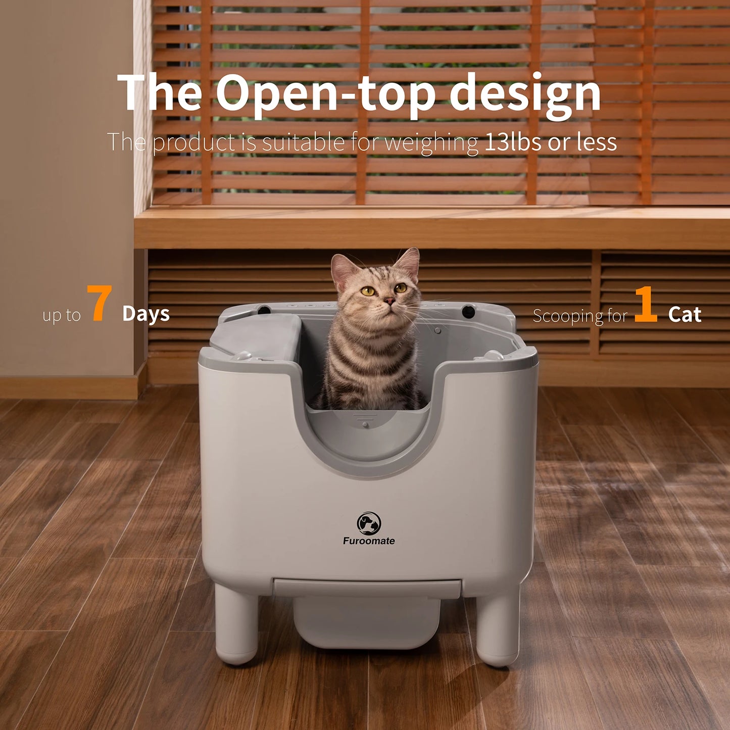 Automatic Self-Cleaning Litter Box