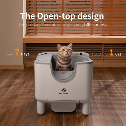 Automatic Self-Cleaning Litter Box