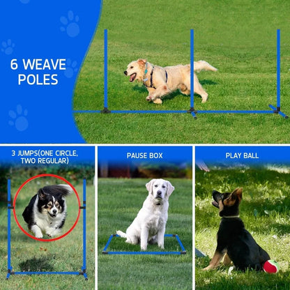 Agility Obstacle Course for Dogs