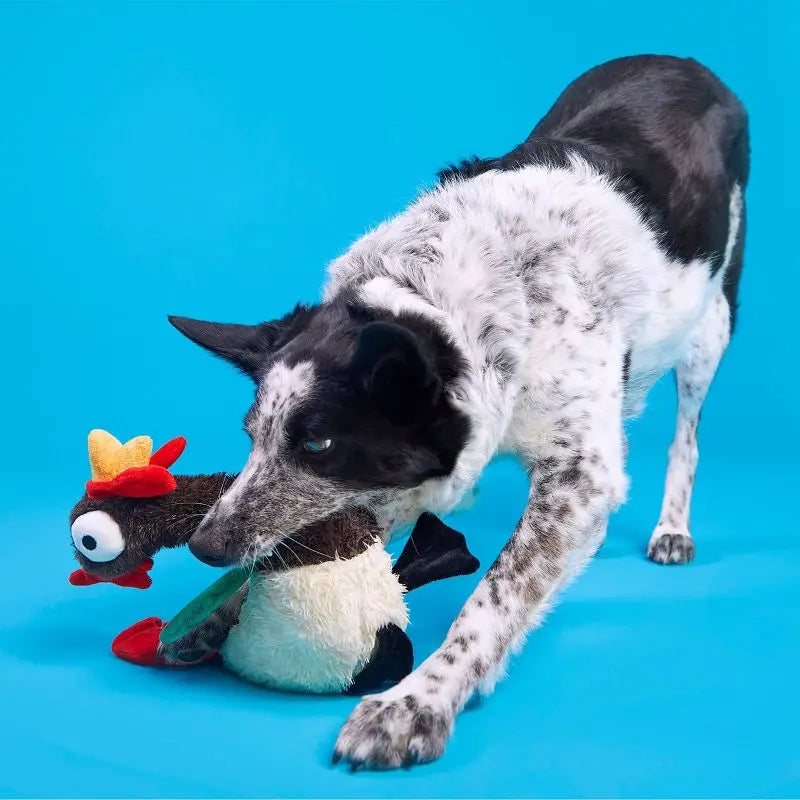 Squeaky Crinkle Rooster Dog Toy