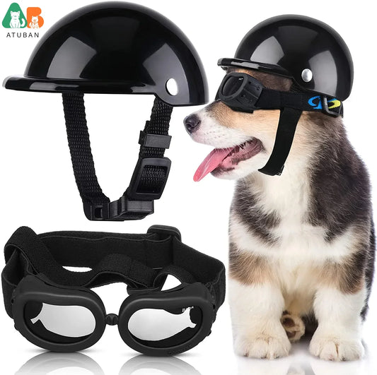 Small Dog Helmet With Goggles