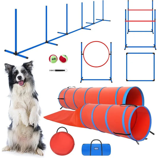Agility Obstacle Course for Dogs