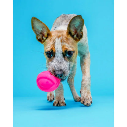 Bacon Scented Chew Toy