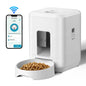 Slow Food Dispenser for Cat or Dog