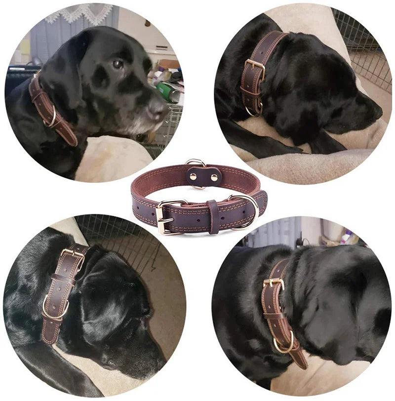 Genuine Vintage Leather Dog Collar