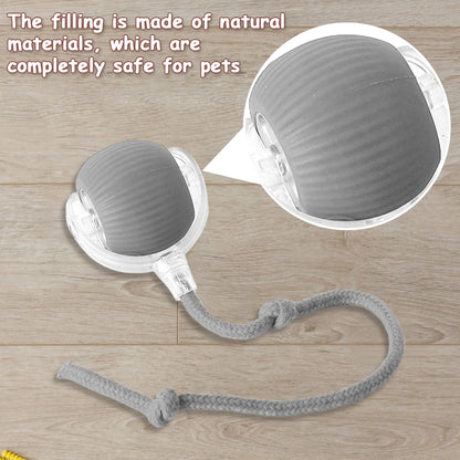 Automatic Rolling Interactive Ball Toy