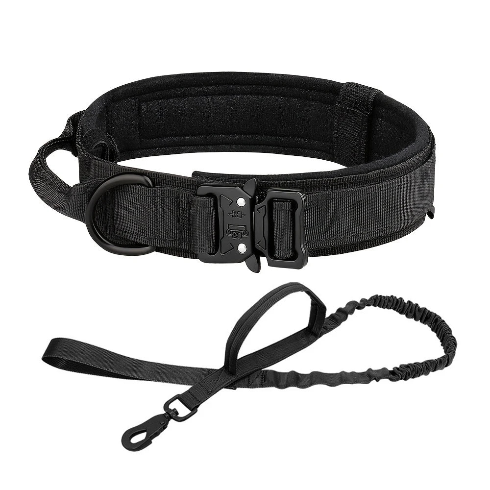 Collar for Large Dog