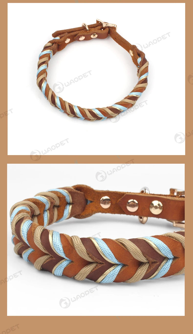 Braided Sky Blue Nylon Rope/Leather Pattern Collar